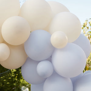 Ginger Ray Balloon Arch Kit - Blue and Nudes